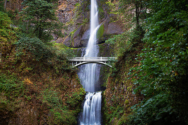 Wall Art featuring the photograph Multnomah Falls #1 by Adam Mateo Fierro