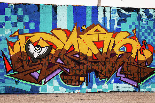 Wall Art featuring the photograph Mural Mile - Owl #1 by Robert Niemeier