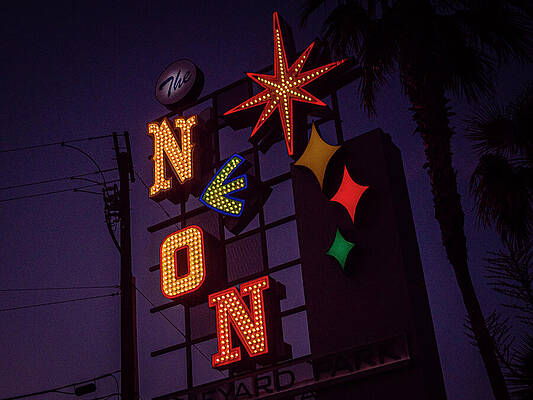 Tree Photograph - Neon Museum - Las Vegas #1 by Robert Niemeier
