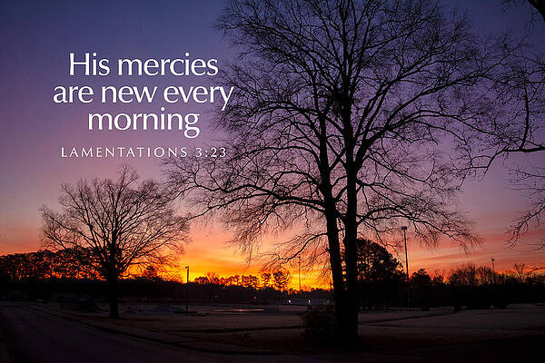 Color Photograph - New Every Morning #1 by Greg Lane