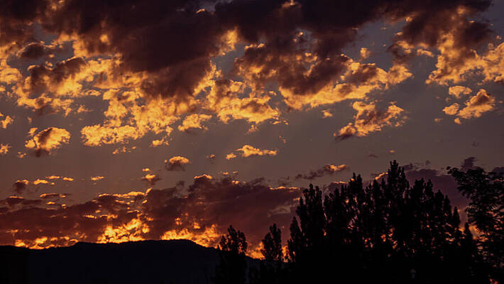 Tree Photograph - New Mexico - Sunset #1 by Robert Niemeier