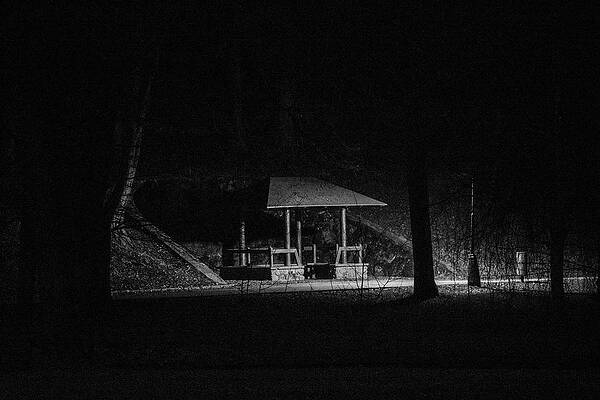 Nature Photograph - Night In The Park #1 by Robert Grac