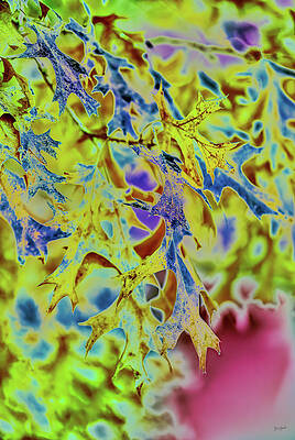 Wall Art featuring the digital art Oak Tree #1 by Bruce Block