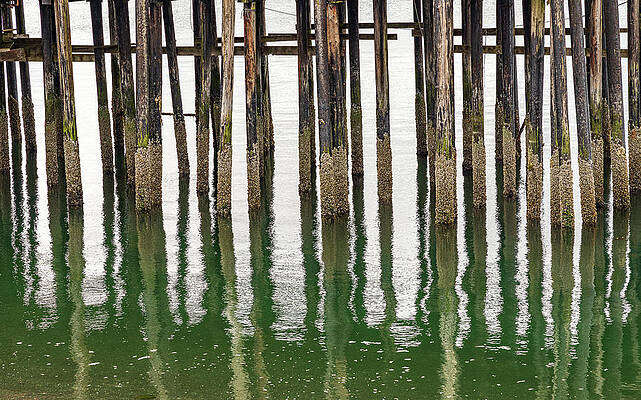 Wall Art featuring the photograph Old Wooden Pier Structure In Bay At Icy Strait Point In Alaska #1 by Steven Heap