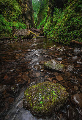 Moody Photograph - Oneonta Gorge Boulder, Oregon - Vertical by Abbie Warnock