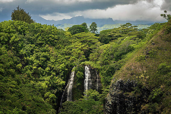 Wall Art featuring the photograph Opaekaa Falls Sunlit As Dark Storm Clouds Gather Over The Hills #1 by Steven Heap