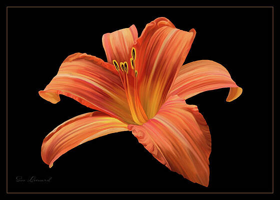 Flower Wall Art featuring the photograph Orange Mexican Lily #1 by Sue Leonard