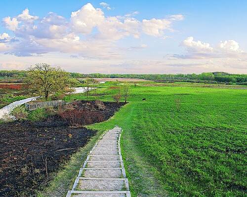 Scenic Countryside Pathway Wall Art