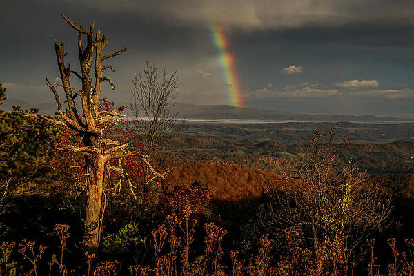 Wall Art featuring the photograph Rainbow At Sunrise by Deb Beausoleil