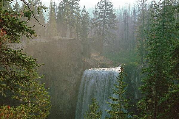 Tree Photograph - Mammoth Lakes, Rainbow Falls - A Misty Morning by Bonnie Colgan