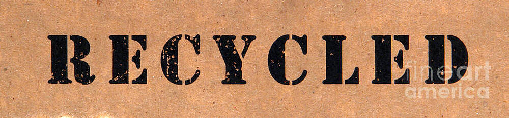 Wall Art featuring the photograph Recycled Paper by Olivier Le Queinec