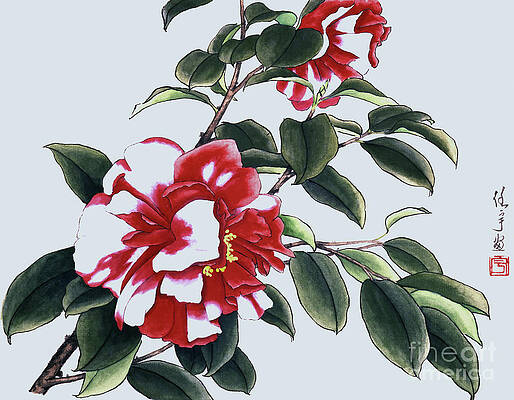 Garden Painting - Red Camellias II by Ren Yu