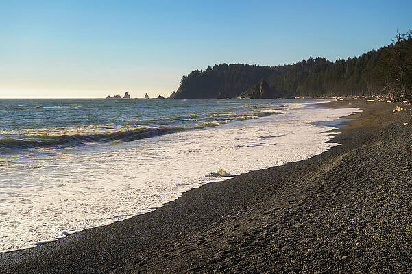 Wall Art featuring the photograph Rialto Beach With Driftwood And Sea Stacks In Washington State #1 by Miroslav Liska