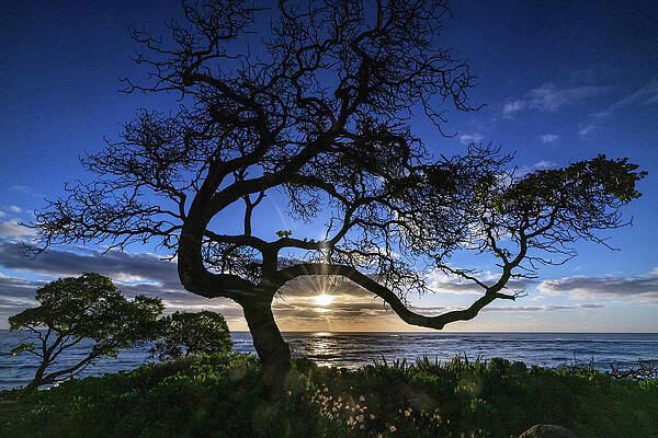 Sunset Wall Art featuring the photograph Rise And Shine #1 by Todd Wilkinson