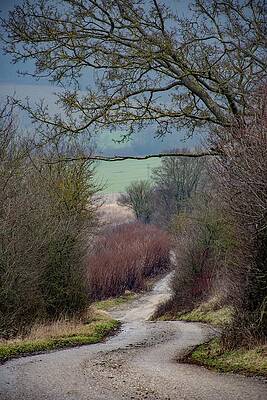 Nature Photograph - Road To Nowhere #1 by Robert Grac