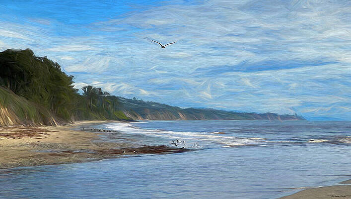 Serene Coastal Landscape Photograph