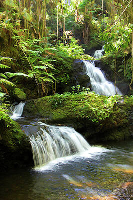 Serene Forest Waterfall Photograph