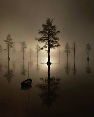 Tree Wall Art featuring the photograph Silent Axis by Sofie Conte