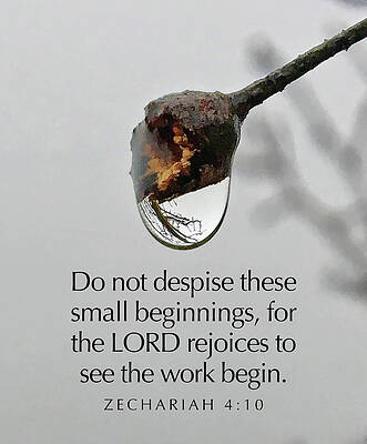 Christian Photograph - Small Beginnings #2 by Greg Lane