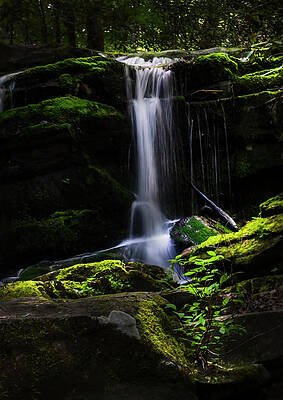 Appalachia Wall Art featuring the photograph Smoky Mountains Spring Water #1 by Theresa D Williams Smoky Mountains