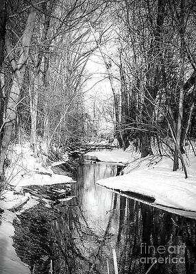 Sky Wall Art featuring the photograph Snowy Creek by Mark Triplett