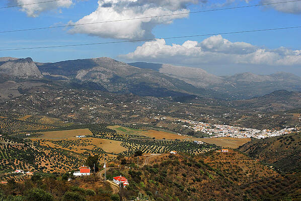 Summer Wall Art featuring the photograph Spain,near Malaga #1 by Severija Kirilovaite