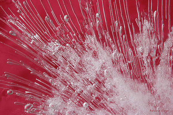 Abstract Photograph - Splash  #1 by Barbara Siegel
