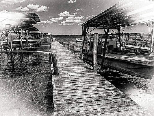 Summer Photograph - Summer Fun #1 by William Norton