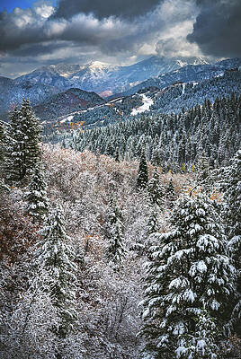 American Photograph - Sundance Snow And Sun, Utah #1 by Abbie Warnock