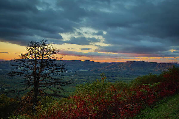 Wall Art featuring the photograph Sunrise At Pine Tree Overlook #1 by Deb Beausoleil