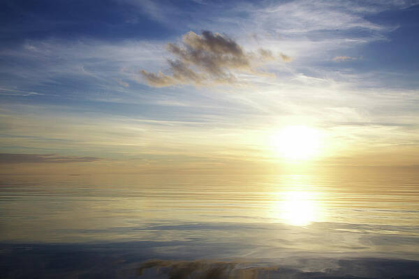 Florida Wall Art featuring the photograph Sunset On The Everglades by Alberto Audisio
