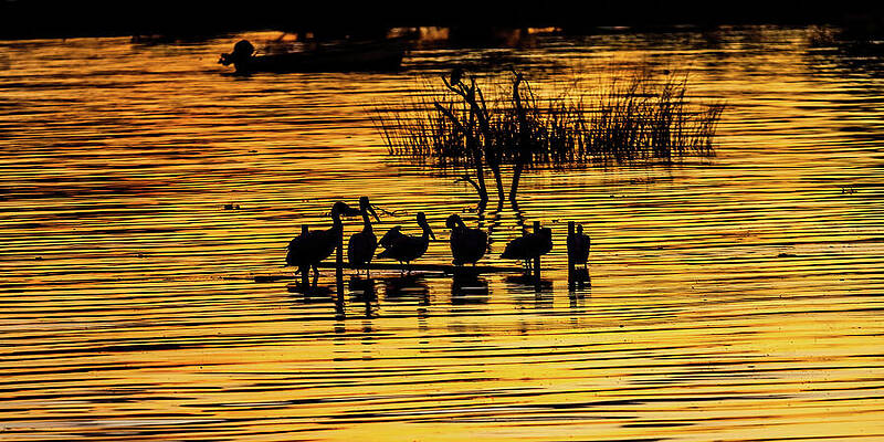 Sunset Wall Art featuring the photograph Sunset Lake Chapala Mexico #1 by Tommy Farnsworth