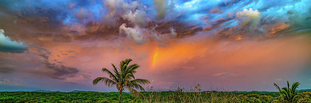Nature Wall Art featuring the photograph Tapestry Sunset Looking East Mazatlan Mexico by Tommy Farnsworth