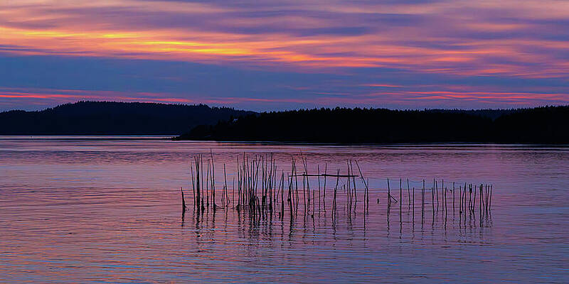 Reflection Photograph - Sunset On The Bay #1 by Richard DeYoung