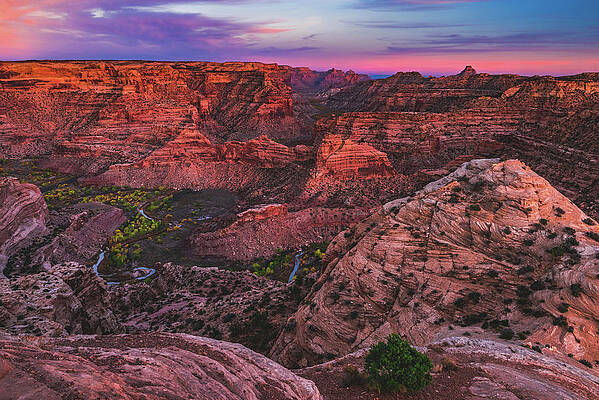 Beautiful Photograph - Sunset On The Wedge, Utah #1 by Abbie Warnock
