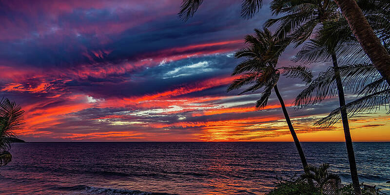 Sky Photograph - Sunsets Mazatlan Sinaloa Mexico #1 by Tommy Farnsworth