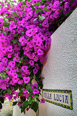 Wall Art featuring the photograph The Eden Project 6 by Cindy Robinson