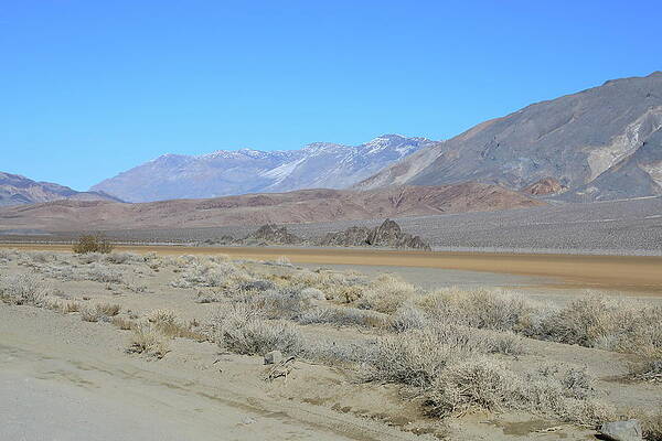 California Wall Art featuring the photograph The Grandstand #1 by Jonathan Babon