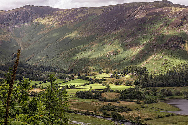 Photograph - The Hills Near Derwentwater #1 by Francisco Ruiz Navas