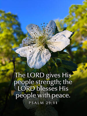 Southern Wall Art featuring the photograph The Lord Gives His People Strength #2 by Greg Lane