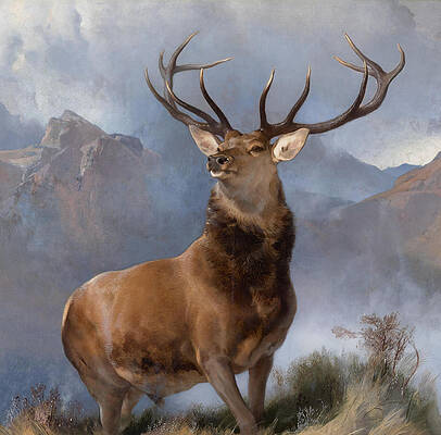 Majestic Highland Stag Painting