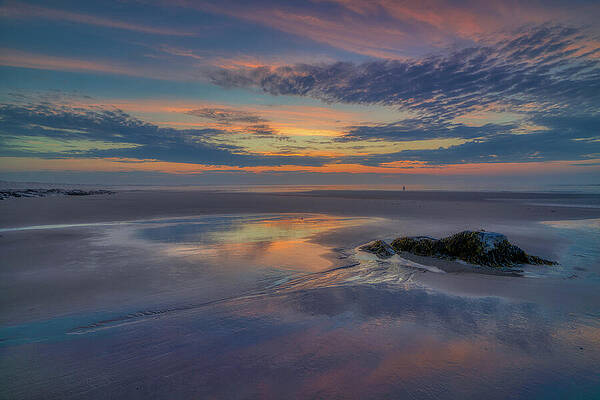 Wall Art featuring the photograph God's Paint Brush by Penny Polakoff