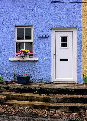 Ireland Photograph - The Ward House #1 by Randall Dill