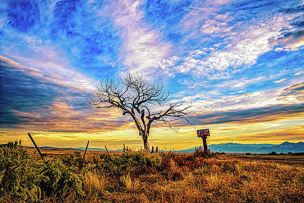 Lonely Tree Under Dramatic Sky Wall Art
