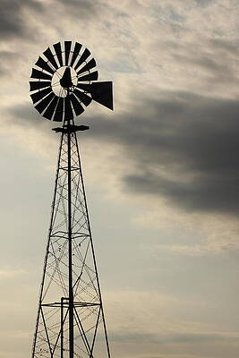 Sky Photograph - Milling About In Texas by KC Hulsman