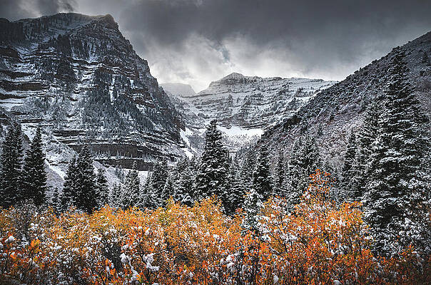 Canyon Photograph - Timpanogos Fire And Ice, Utah #1 by Abbie Warnock
