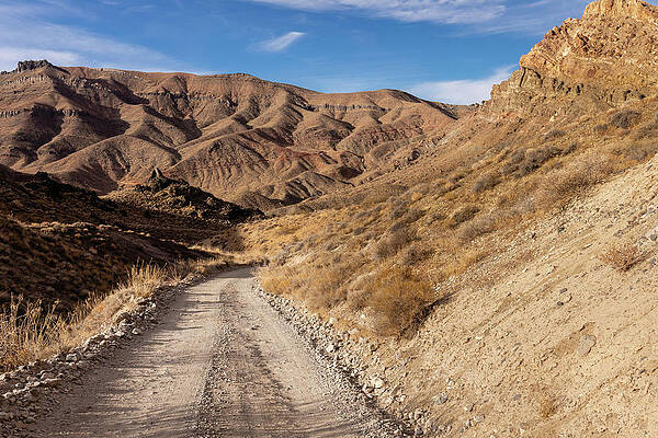 California Wall Art featuring the photograph Titus Canyon Road #1 by Craig A Walker