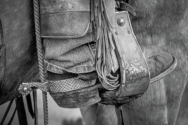 Tools of the trade by Chris Allmendinger
