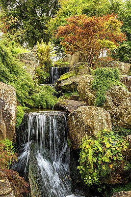 Unite Kingdom Wall Art featuring the photograph Tranquil Garden Waterfall Scene #1 by Shirley Mitchell
