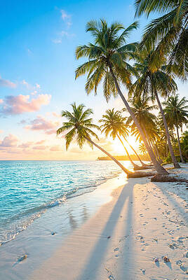 Tropical Beach at Sunrise Wall Art
